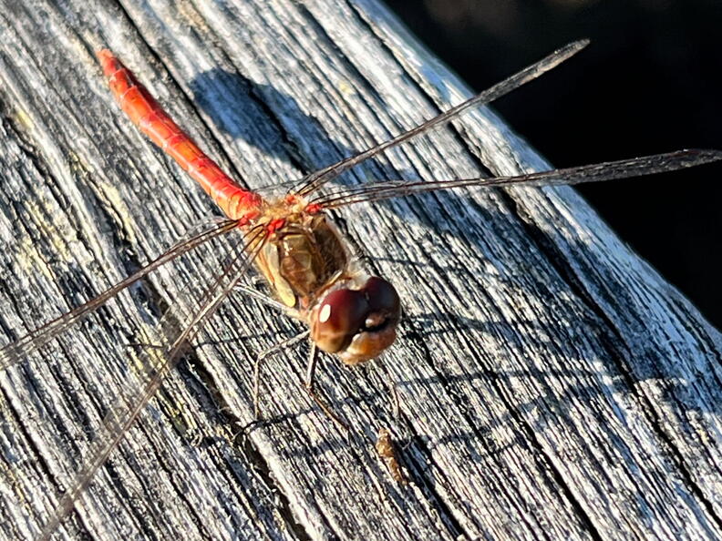 23-09-24 17-00-14 7403